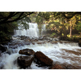 Liffey Falls Tasmania 1000 piece Jigsaw by John Temple